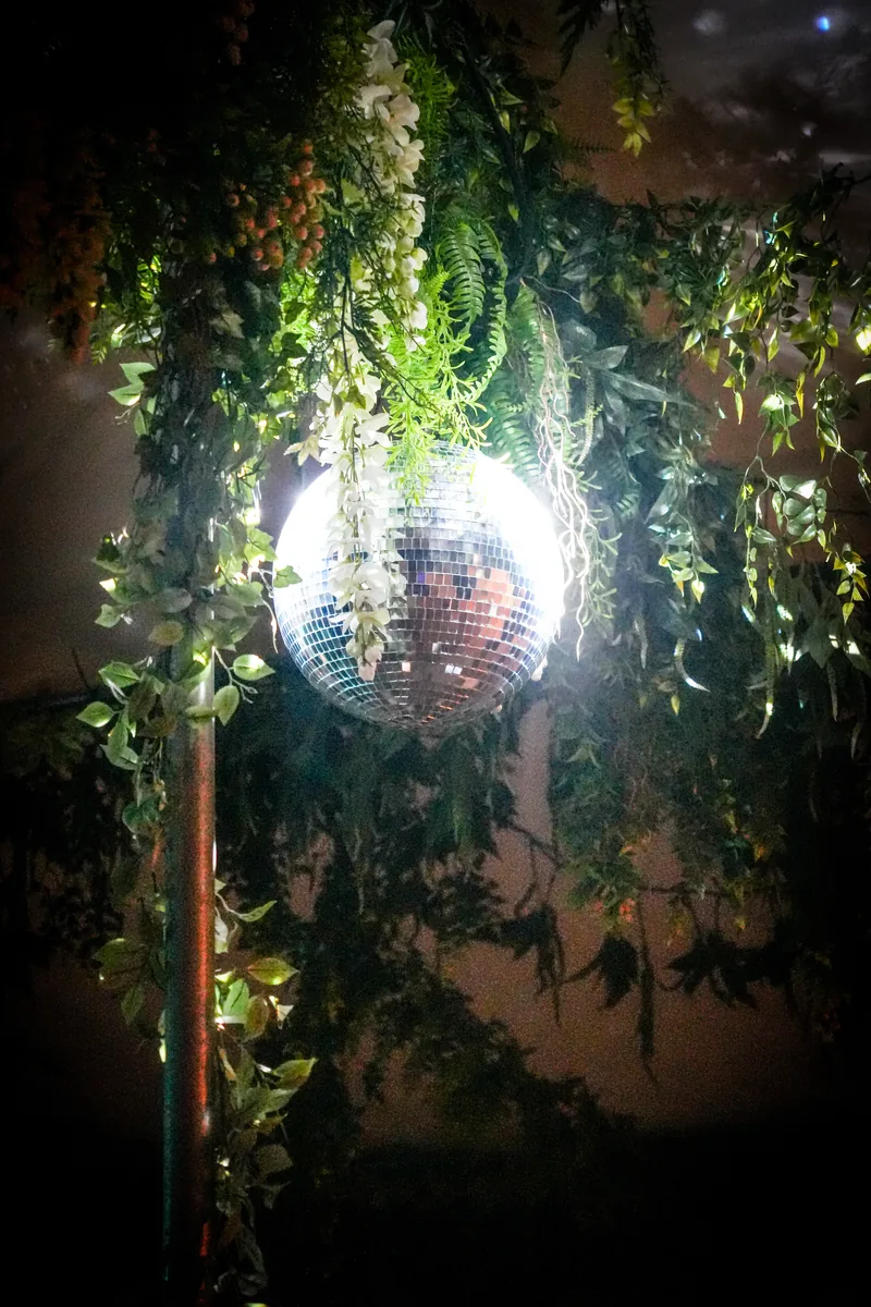 Disco ball under the greenery in the Uncle Rocco backyard