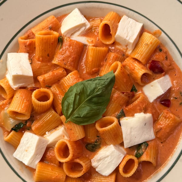 Rigatoni pasta in a creamy tomato sauce with fresh mozzarella cubes and a basil leaf.